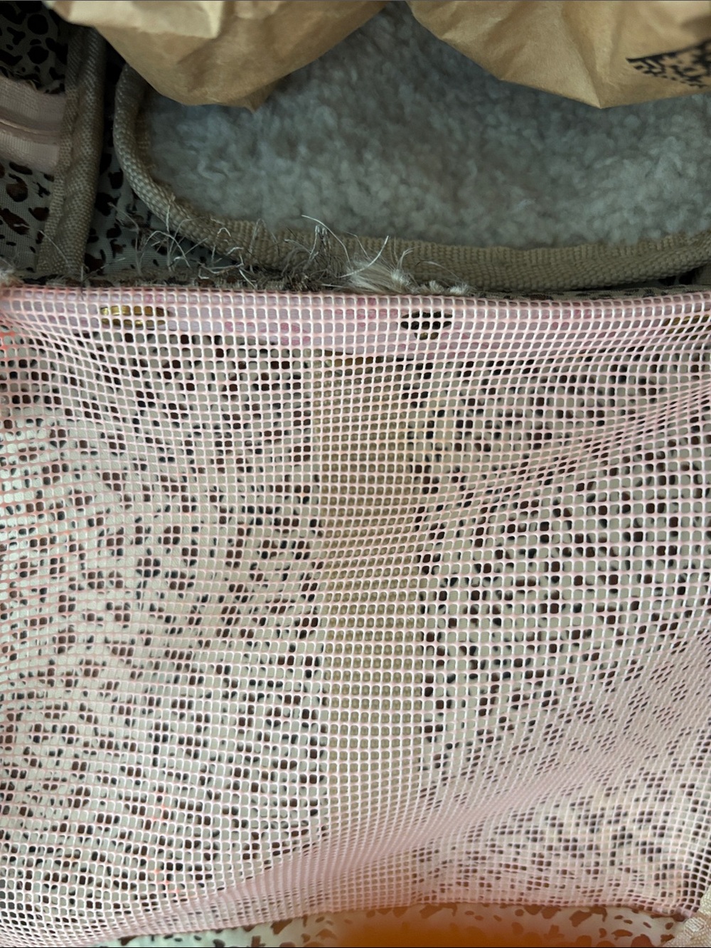 Purse - Picture 2 of 2